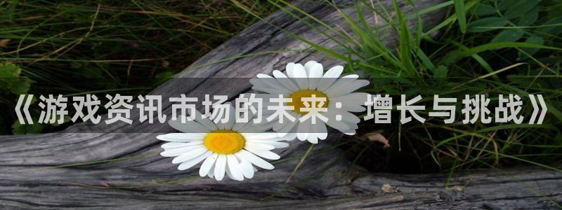 辉达娱乐注册开户：《游戏资讯市场的未来：增长与挑战》