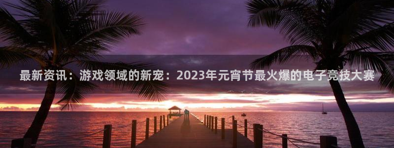 辉达娱乐平台官网客服电话：最新资讯：游戏领域的新宠：2023