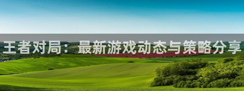 辉达娱乐平台官网登录：王者对局：最新游戏动态与策略分享