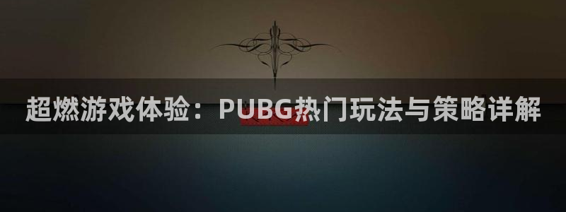 沐春辉达娱乐：超燃游戏体验：PUBG热门玩法与策略详解