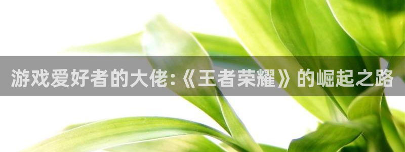 辉达娱乐娱乐是真的吗：游戏爱好者的大佬:《王者荣耀》的崛起之