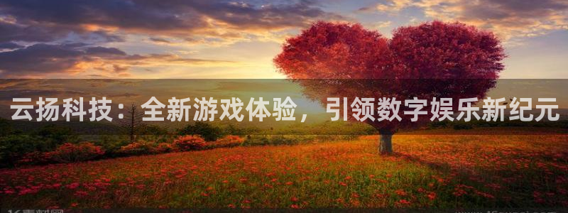 辉达娱乐官方平台：云扬科技：全新游戏体验，引领数字娱乐新纪元