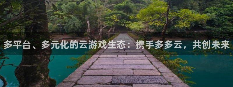 辉达娱乐4主管：多平台、多元化的云游戏生态：携手多多云，共创