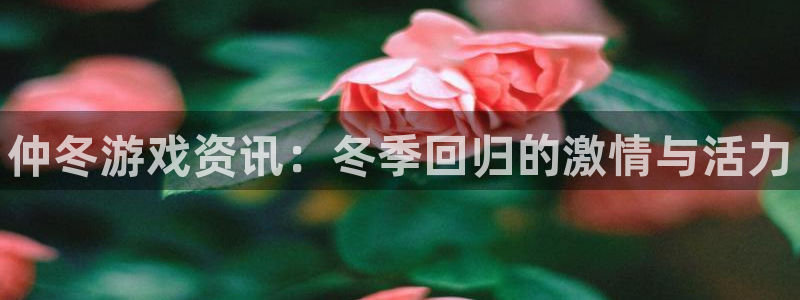 辉达娱乐注册网站：仲冬游戏资讯：冬季回归的激情与活力