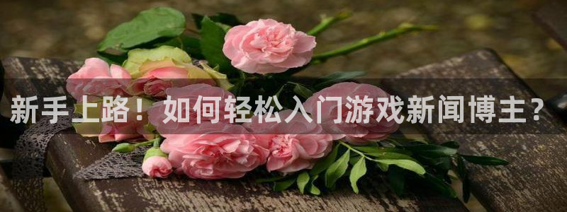 辉达娱乐
